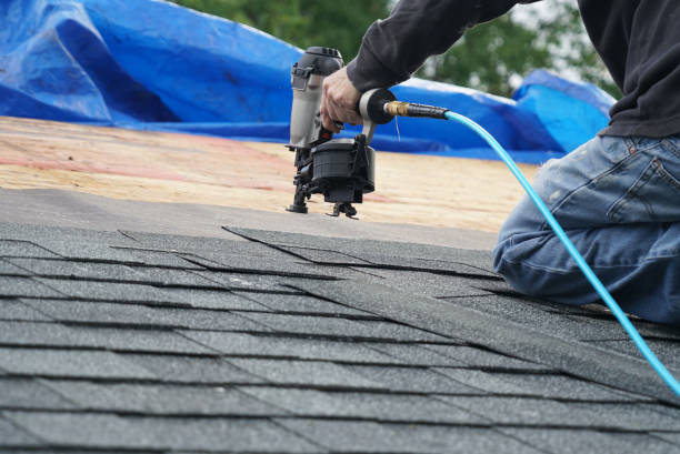 Best Storm Damage Roof Repair  in Kingsville, TX